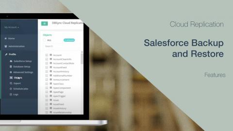 SaaS Replication features