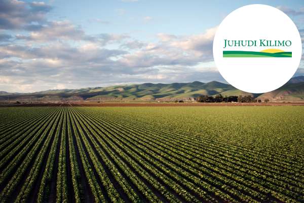 Juhudi khilimo case stuly coverimage